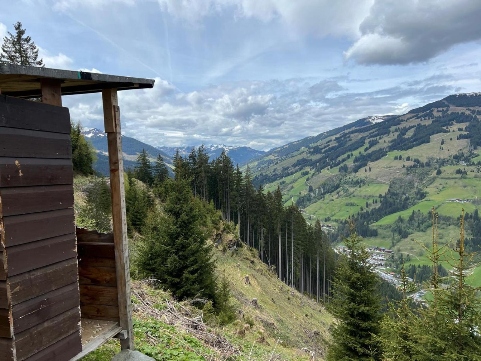 Landhaus Servus Viehhofen Kültér fotó
